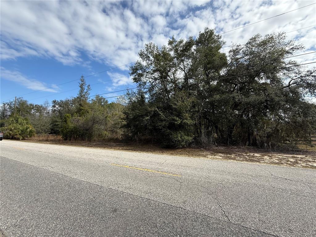 A wooded lot with dry grass, scattered trees, and a clear blue sky above — SE 92ND COURT, BELLEVIEW, FL