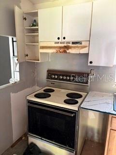 115 CURRYS LANDING TRAIL, BRANDON, FL — photo 3 of 10