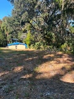 115 CURRYS LANDING TRAIL, BRANDON, FL — photo 5 of 10