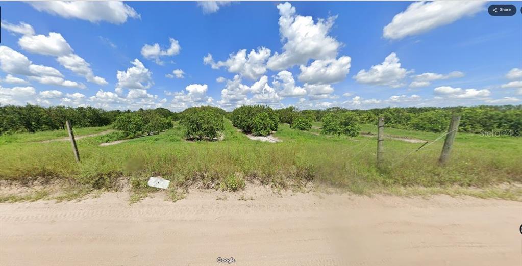A dirt road runs in front of a fenced citrus grove under a cloudy sky — HOLOPAW GROVES ROAD, ST CLOUD, FL
