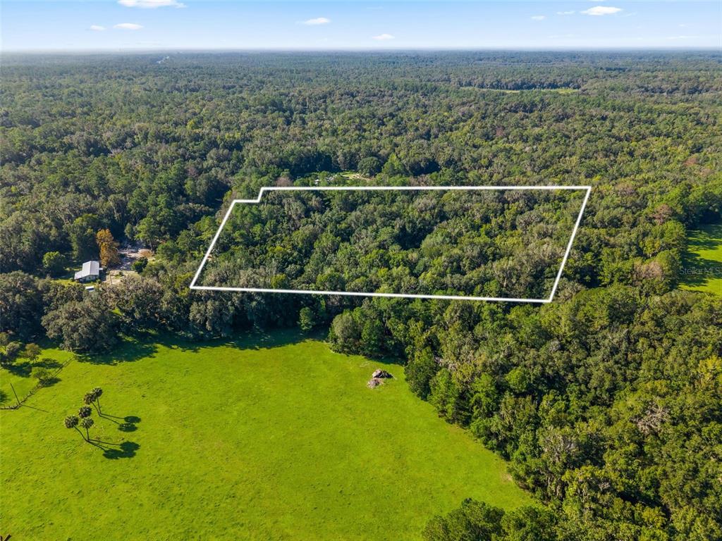 3426 SE 185TH AVENUE, MICANOPY, FL — photo 2 of 17