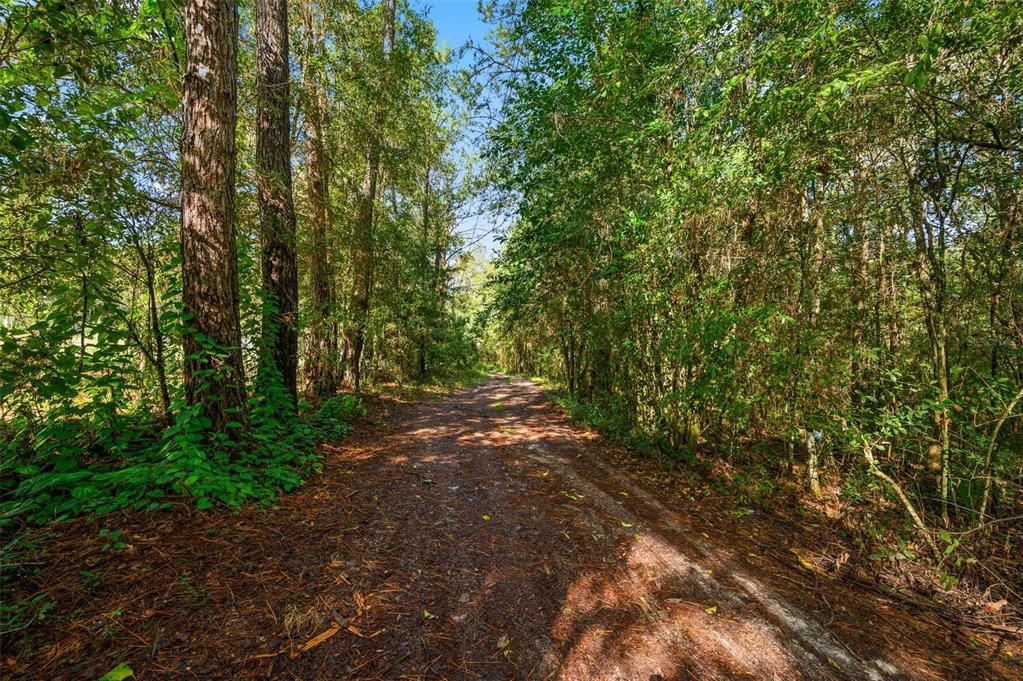 3426 SE 185TH AVENUE, MICANOPY, FL — photo 3 of 17