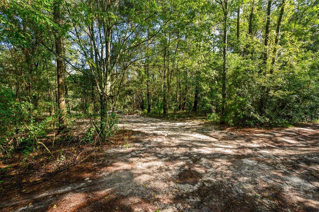 3426 SE 185TH AVENUE, MICANOPY, FL — photo 4 of 17