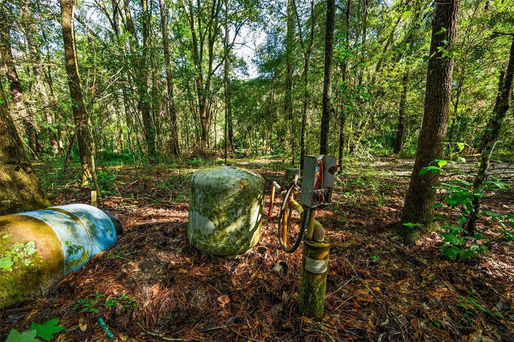 3426 SE 185TH AVENUE, MICANOPY, FL — photo 5 of 17