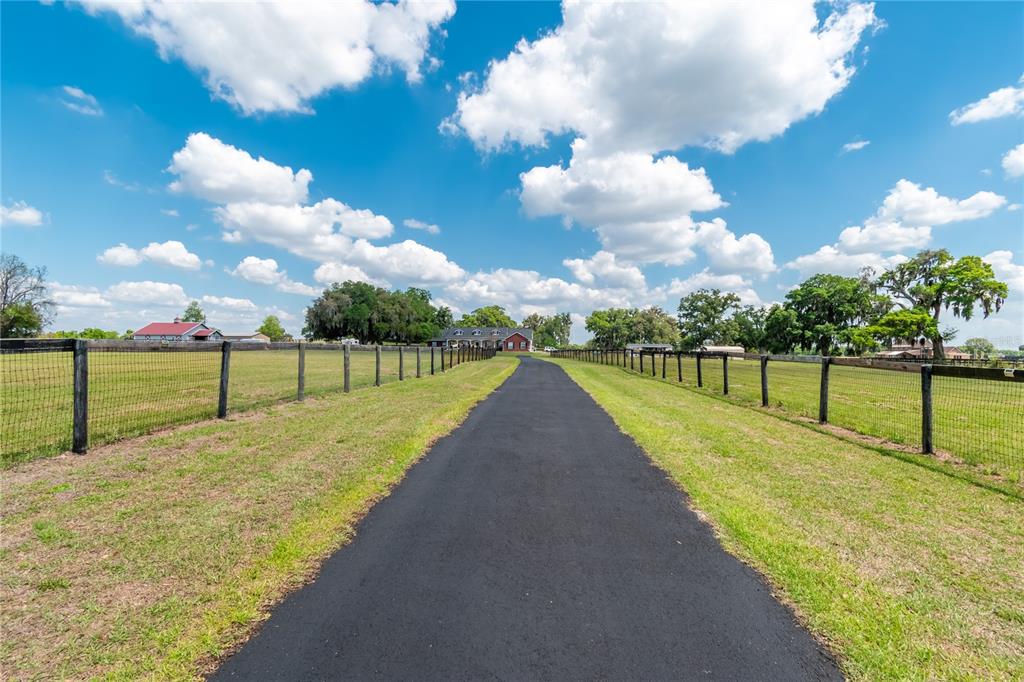 A paved driveway leads toward a brick house flanked by fenced pastures and trees — 13025 NW GAINESVILLE ROAD, REDDICK, FL