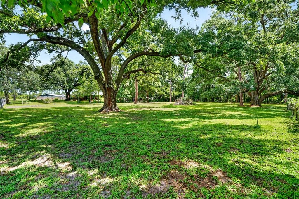 779 TIMOTHY STREET, ORMOND BEACH, FL — photo 4 of 30