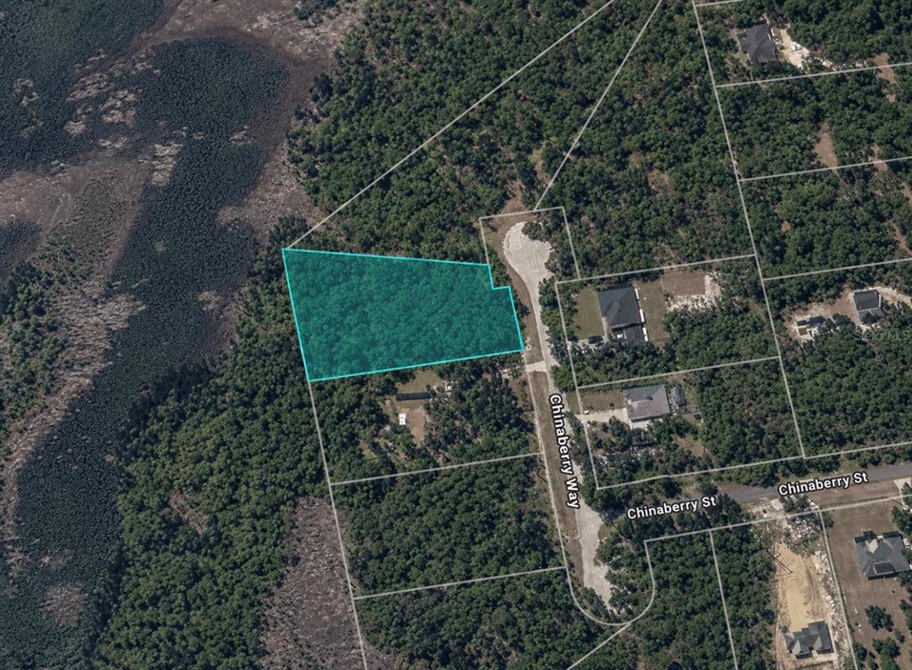 This aerial map shows a highlighted vacant lot located along a cul-de-sac — CHINABERRY WAY, EUSTIS, FL