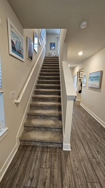 A carpeted staircase with white railings leads to an upper level in a hallway — 8323 REEFBAY COVE, PARRISH, FL