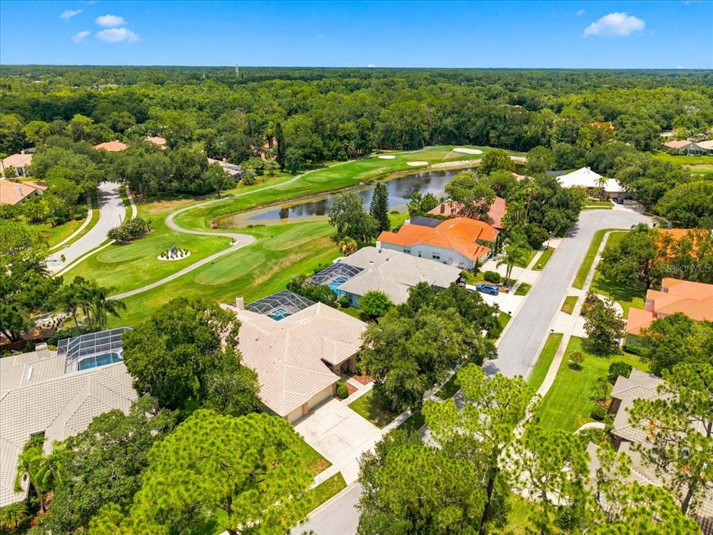 An aerial view of a suburban neighborhood featuring houses, a golf course, and a pond — 85 KELLEYS TRAIL, OLDSMAR, FL