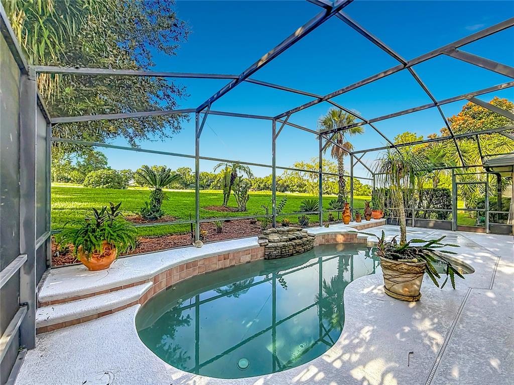 A screened-in pool area features a kidney-shaped pool, a stone waterfall, and potted plants — 9833 SPRING LAKE DRIVE, CLERMONT, FL