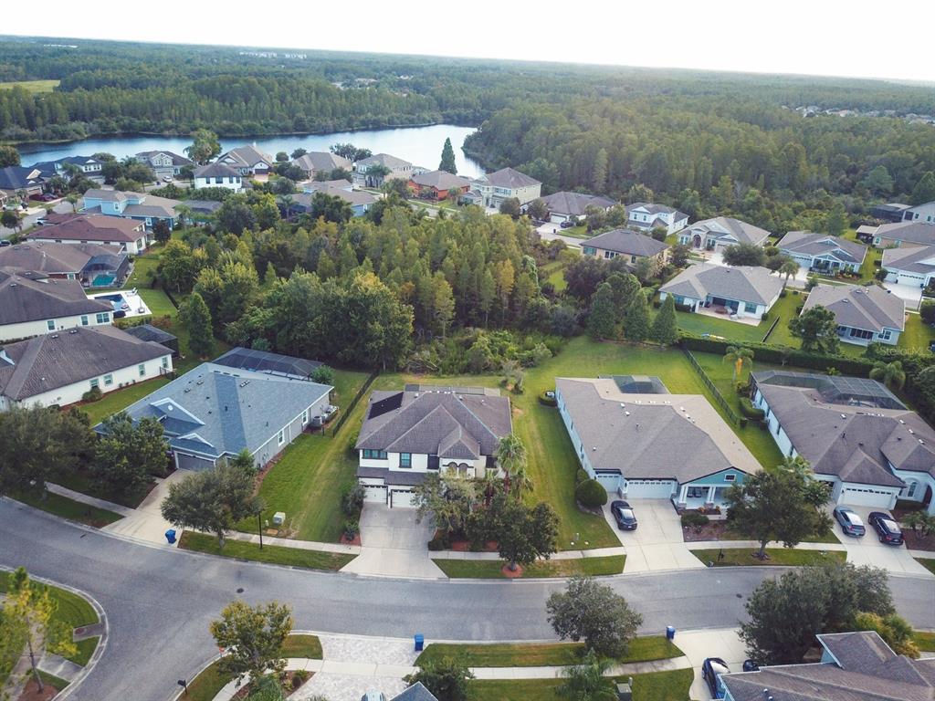 An aerial view shows a suburban neighborhood with houses, green lawns, and a nearby lake — 8355 SWISS CHARD CIRCLE, LAND O LAKES, FL