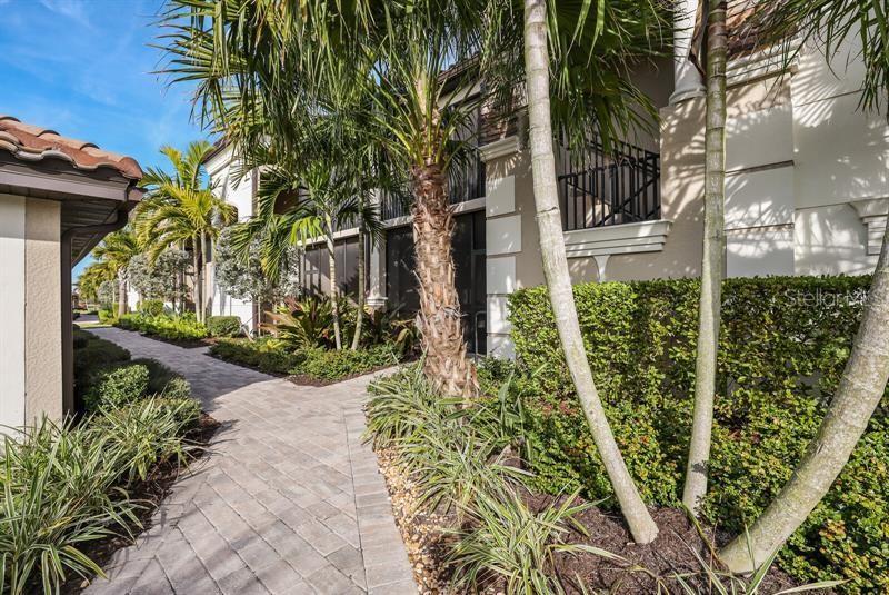 A paved walkway leads past palm trees and manicured hedges toward a multi-story residential building — 5664 PALMER CIRCLE UNIT 202, BRADENTON, FL