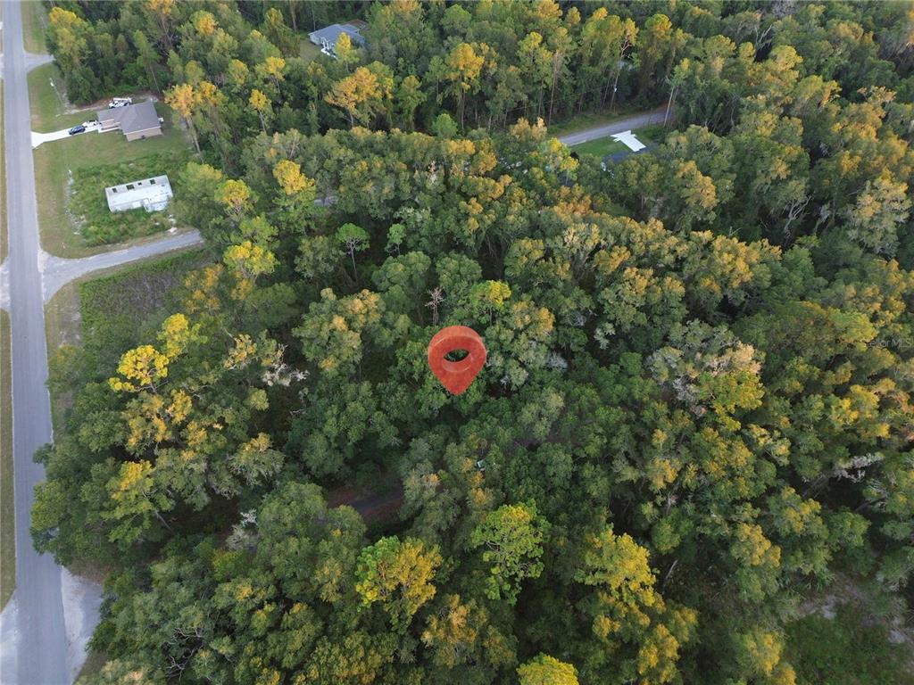 TBD SEQUOIA LOOP TRACK, OCKLAWAHA, FL — photo 2 of 4