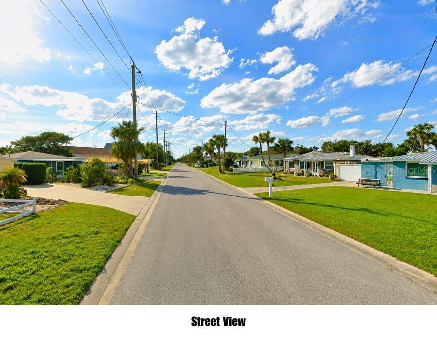 A paved street runs through a residential neighborhood with houses, palm trees, and utility poles — 3 BROOKS DRIVE, ORMOND BEACH, FL