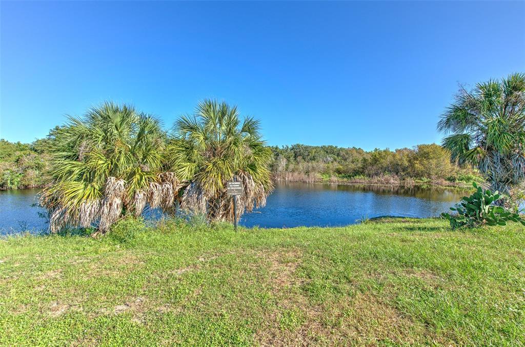 8804 SANDY PLAINS DRIVE, RIVERVIEW, FL — photo 5 of 45
