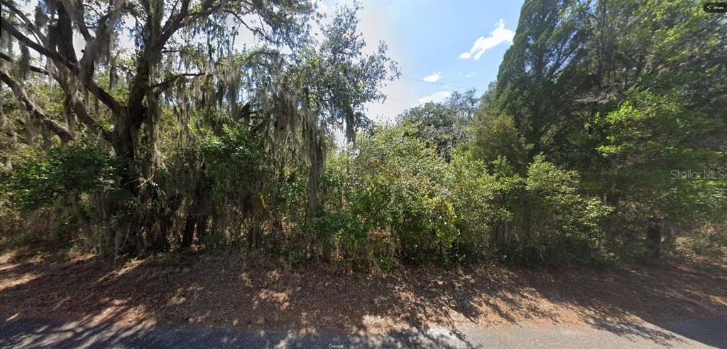 A dense, wooded lot with mature trees and Spanish moss viewed from a paved road — LIBBY ROAD, BABSON PARK, FL
