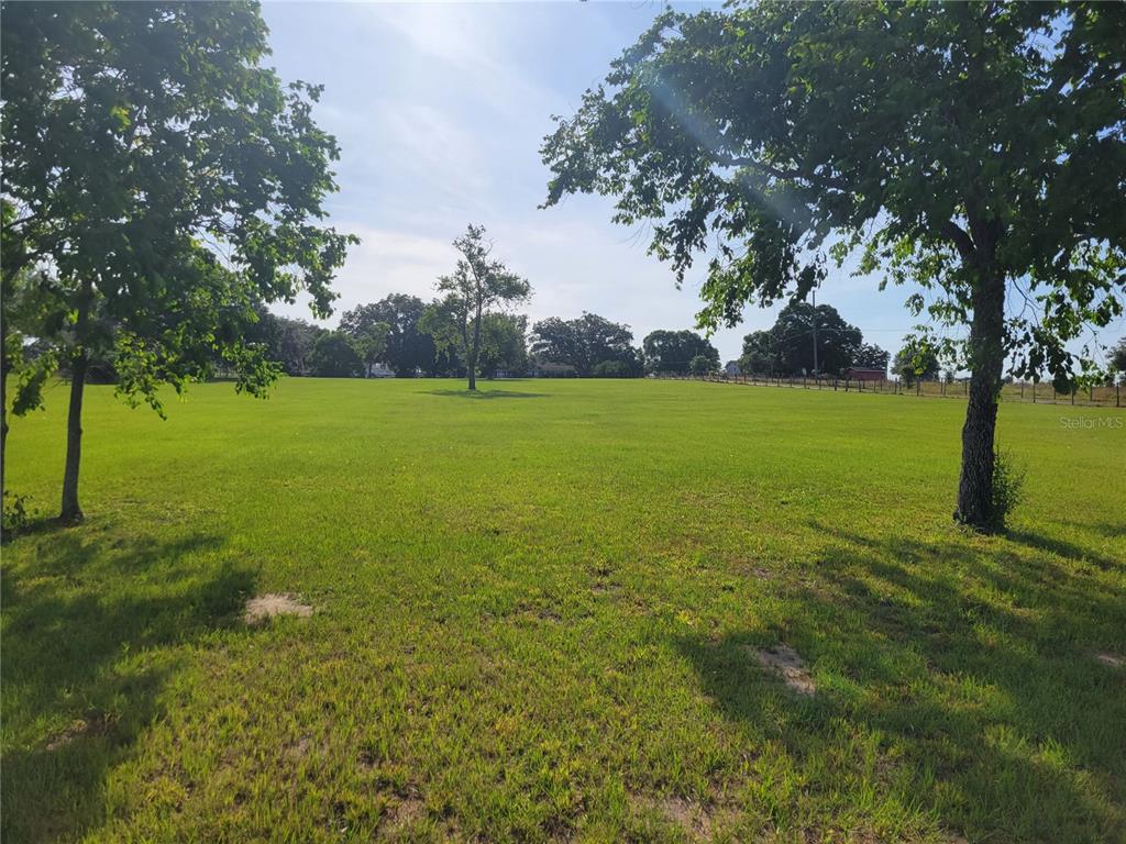 A large, grassy, open field is framed by several mature trees under a bright sky — 2850 DOWMAN DRIVE, APOPKA, FL
