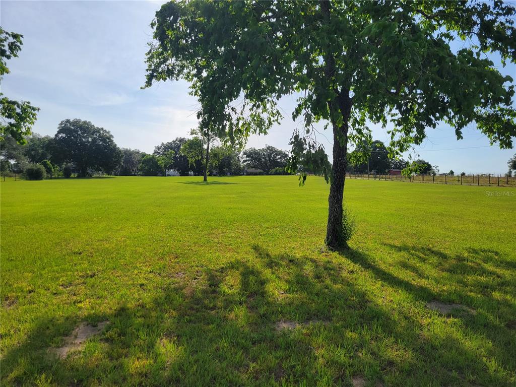 A large, grassy, open field features several mature trees under a bright blue sky — 2850 DOWMAN DRIVE, APOPKA, FL