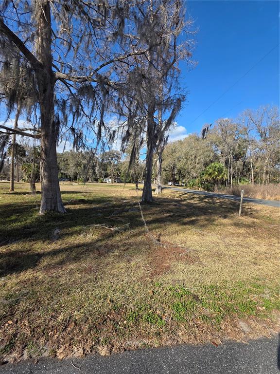A grassy, sunlit vacant lot features several large trees draped in Spanish moss — TBD CR 426, LAKE PANASOFFKEE, FL