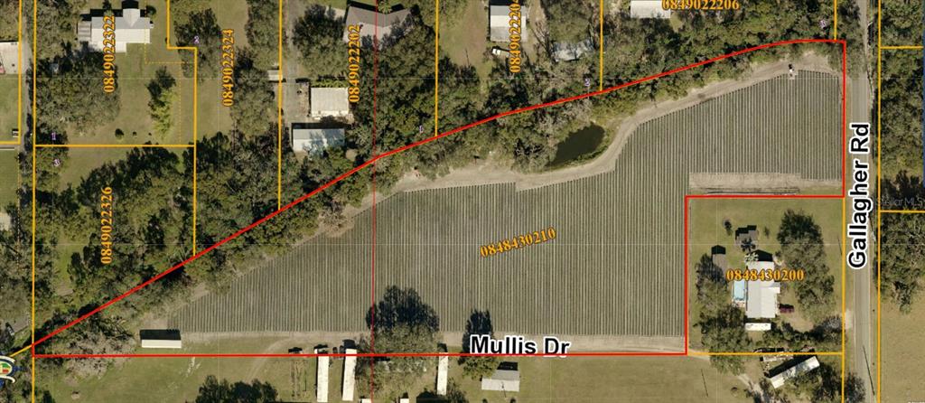 This is an aerial map showing a large, rectangular plot of land with rows of crops — GALLAGHER ROAD, DOVER, FL