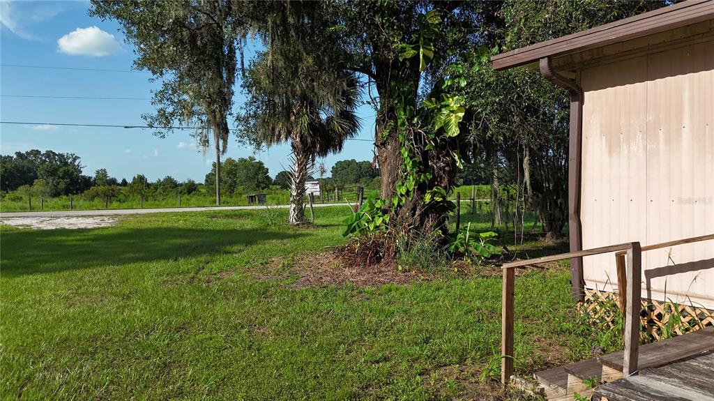 A grassy yard features a large tree with climbing vines next to a mobile home — 3216 JACK JONES ROAD, WAUCHULA, FL