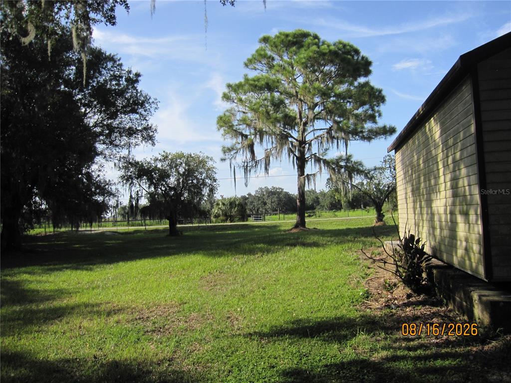 A grassy yard features several large trees with Spanish moss next to a building exterior — 3216 JACK JONES ROAD, WAUCHULA, FL