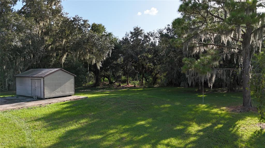 A shed sits on a concrete pad in a grassy yard surrounded by mature trees — 3216 JACK JONES ROAD, WAUCHULA, FL