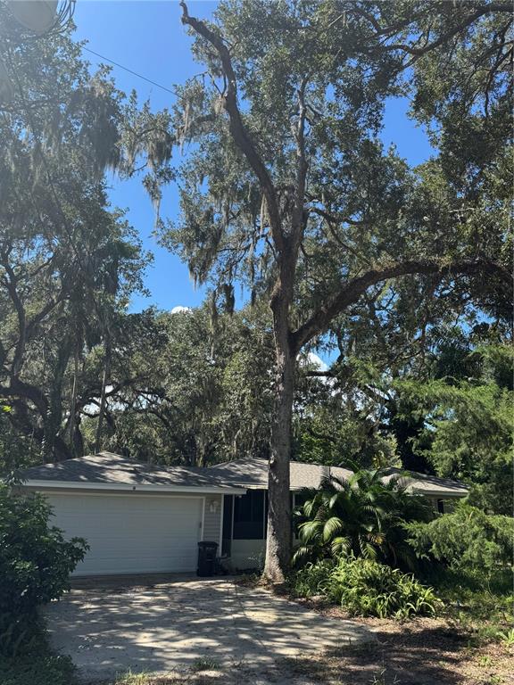 A house exterior is partially obscured by a large palm tree and surrounding mature trees — 12 DAWSON DRIVE, PALM COAST, FL