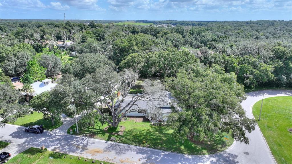 12201 ELSMERE COURT, THONOTOSASSA, FL — photo 2 of 20