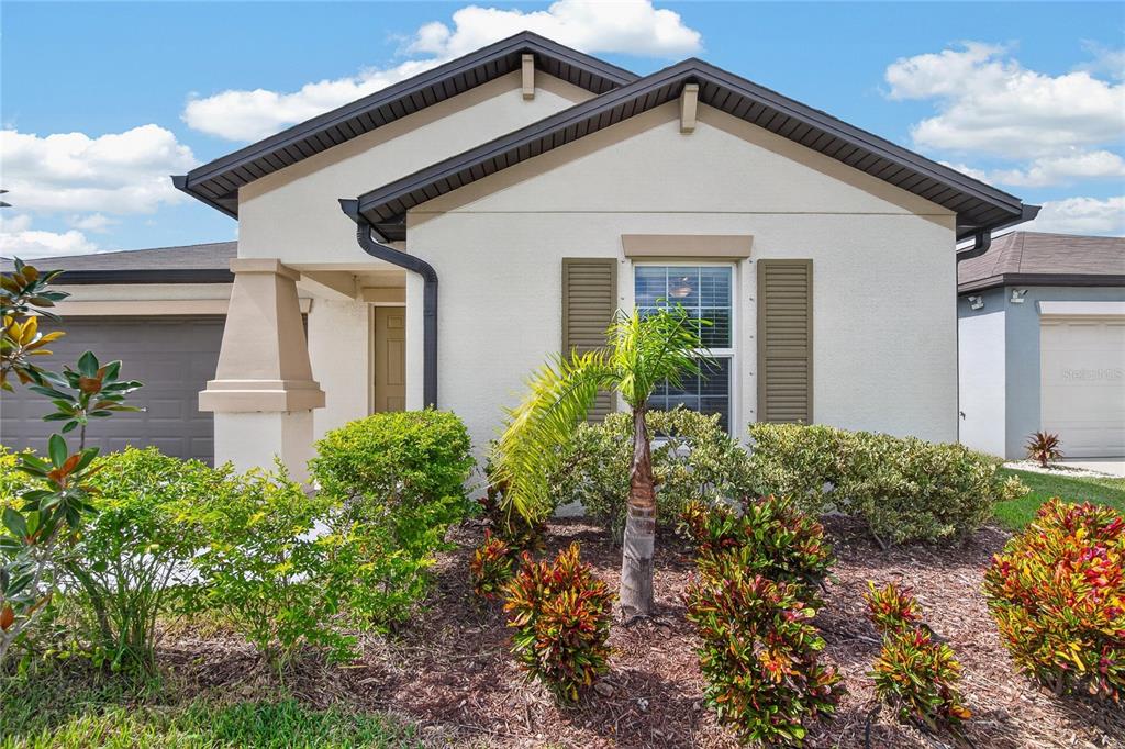 5487 BLUE AZURE DRIVE, WIMAUMA, FL — photo 3 of 30