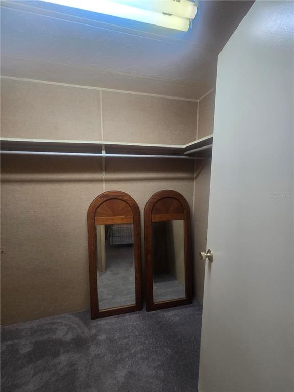 A walk-in closet features carpeted flooring, a hanging rod, and two arched floor mirrors — 4645 BURNEY DRIVE, HOLIDAY, FL