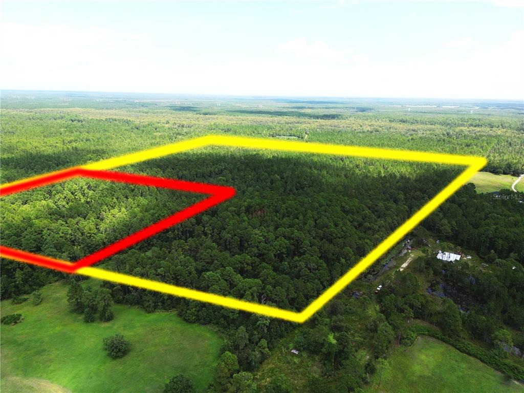 An aerial view shows a large, wooded plot of land outlined in yellow and red — HYDER AVENUE, DELTONA, FL