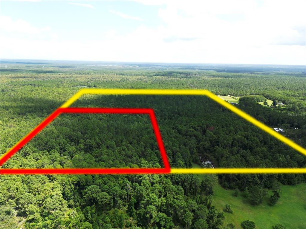 An aerial view shows a large, wooded plot of land outlined in yellow and red — HYDER AVENUE, DELTONA, FL