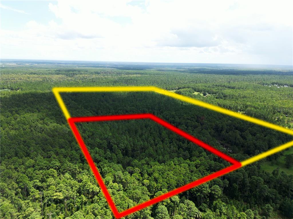 An aerial view shows a forested plot of land outlined in red and yellow — HYDER AVENUE, DELTONA, FL