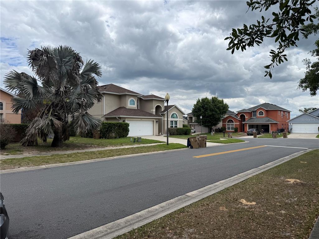A street view of suburban houses with driveways, lawns, and a large palm tree — 8128 YELLOW CRANE DRIVE, KISSIMMEE, FL