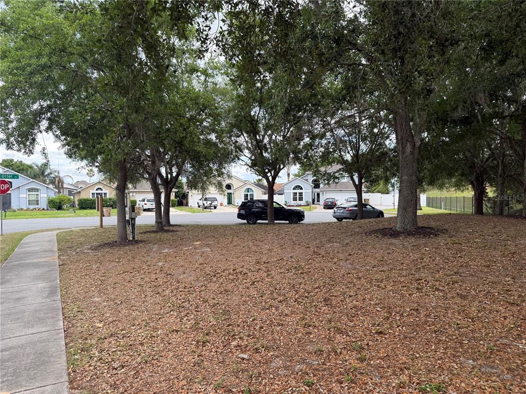 A view of a residential street with trees, a sidewalk, and several houses — 8128 YELLOW CRANE DRIVE, KISSIMMEE, FL