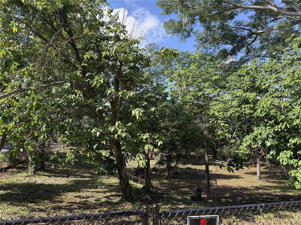A chain-link fence borders a wooded lot with several trees and patches of grass — 521 E CLAY AVENUE, BRANDON, FL