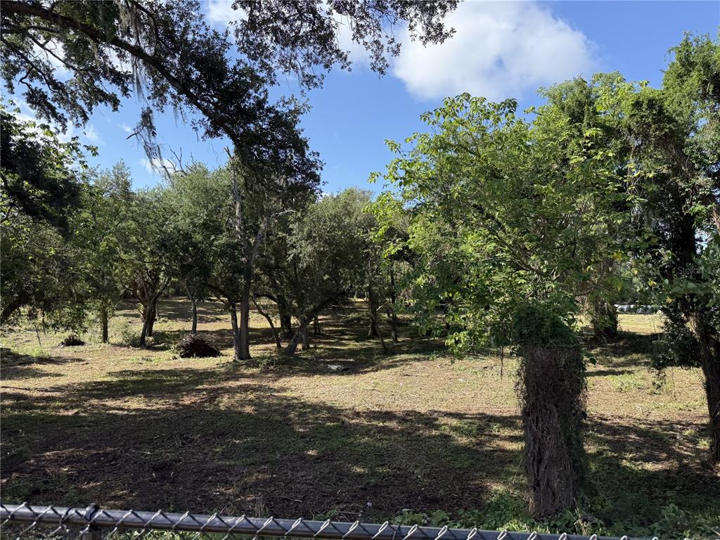A view of a wooded, grassy lot enclosed by a chain-link fence — 521 E CLAY AVENUE, BRANDON, FL