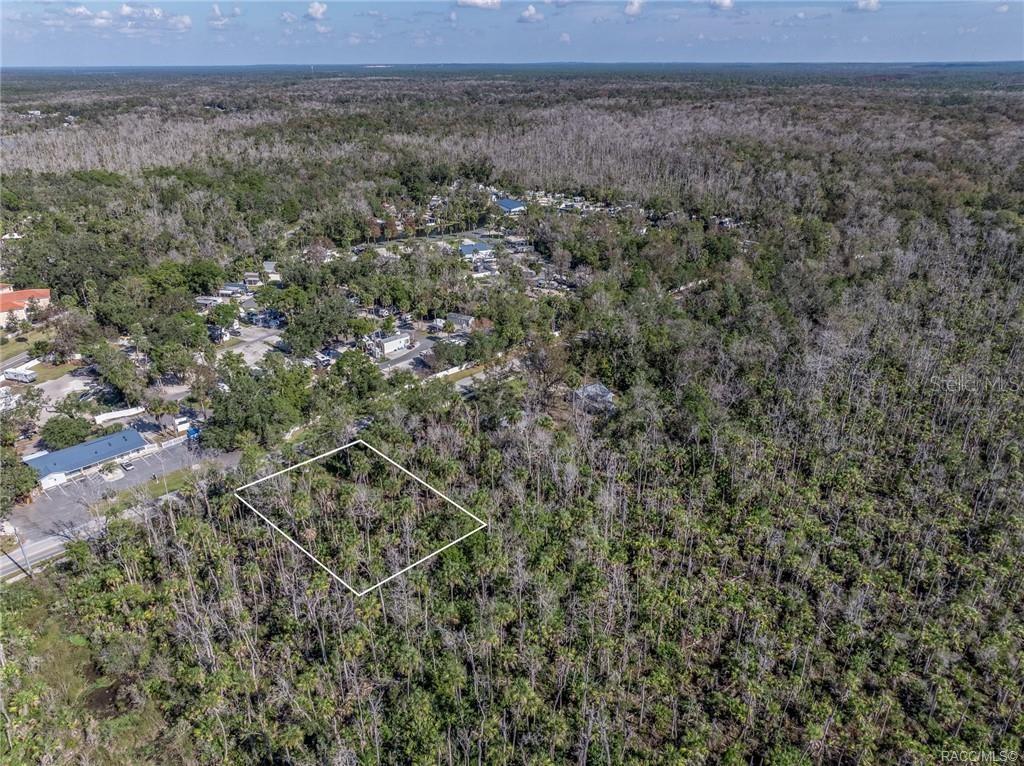 10206 W Yulee DRIVE, HOMOSASSA, FL — photo 4 of 8