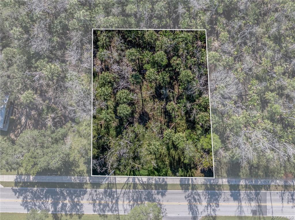 10206 W Yulee DRIVE, HOMOSASSA, FL — photo 5 of 8
