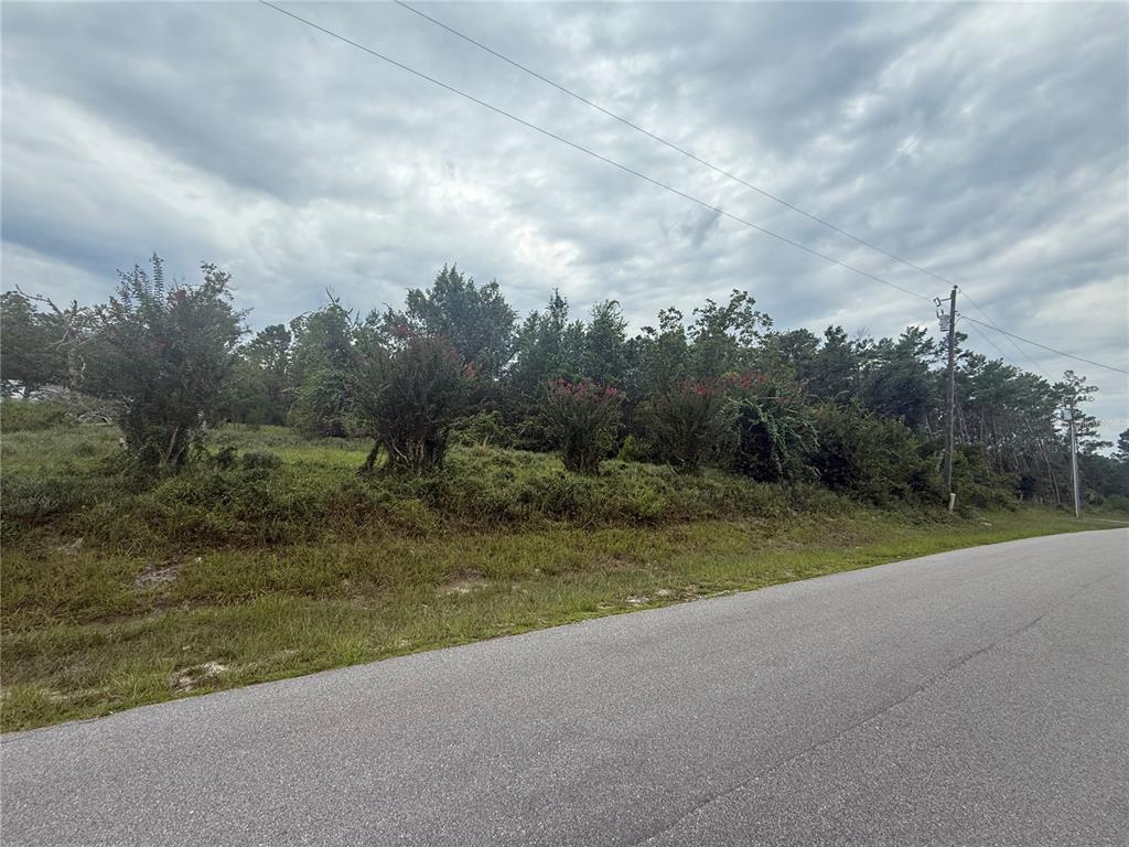 A paved road runs alongside a grassy, sloped lot with trees and shrubs — 31514 DIVISION STREET, DELAND, FL