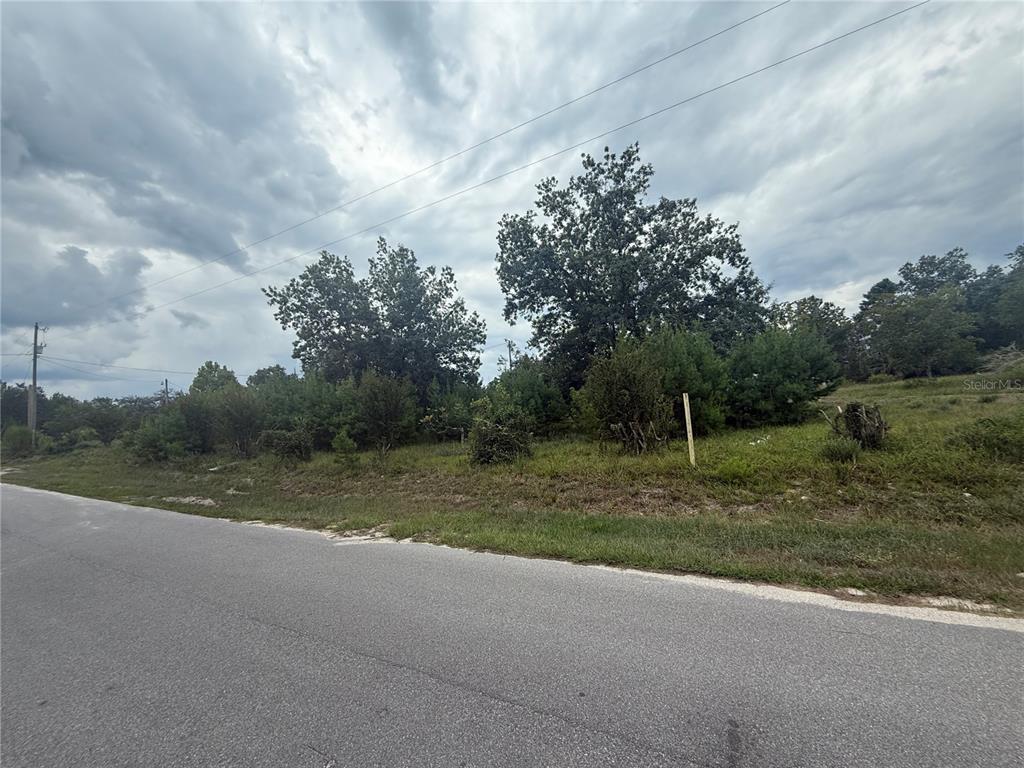A paved road runs along the front of a grassy, tree-covered vacant lot — 31514 DIVISION STREET, DELAND, FL