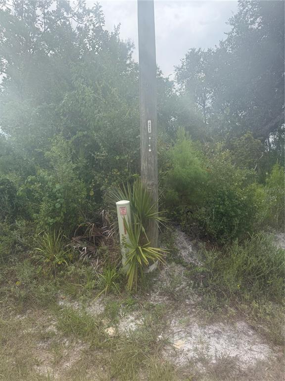 A utility pole and a small electrical box stand in a wooded, sandy lot — 31514 DIVISION STREET, DELAND, FL