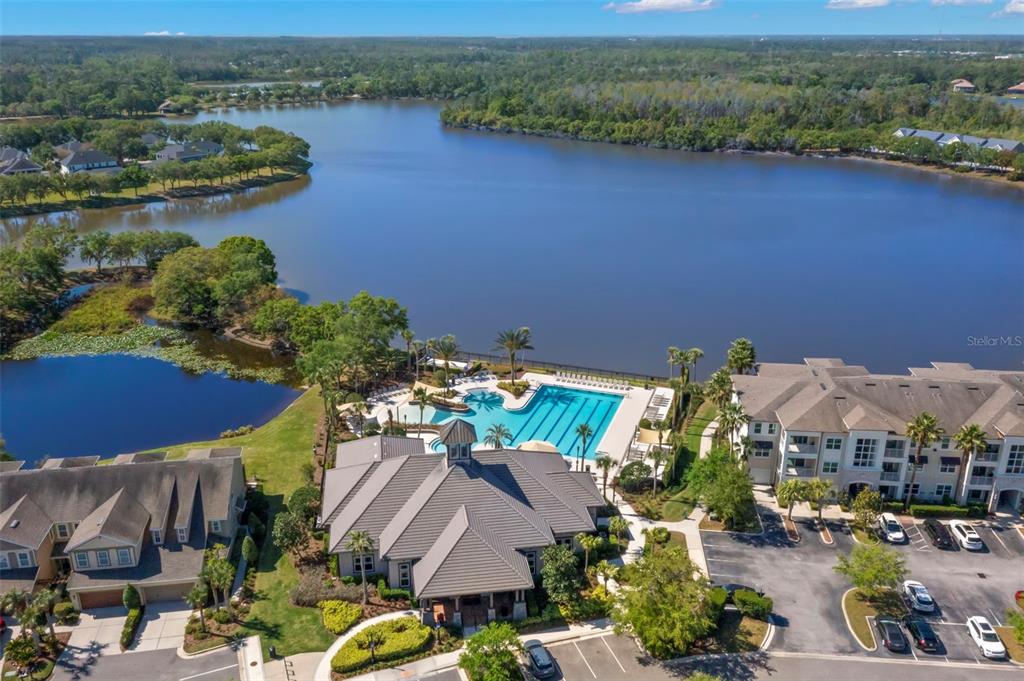 An aerial view shows a community clubhouse with a swimming pool beside a large lake — 14743 CANOPY DRIVE, TAMPA, FL