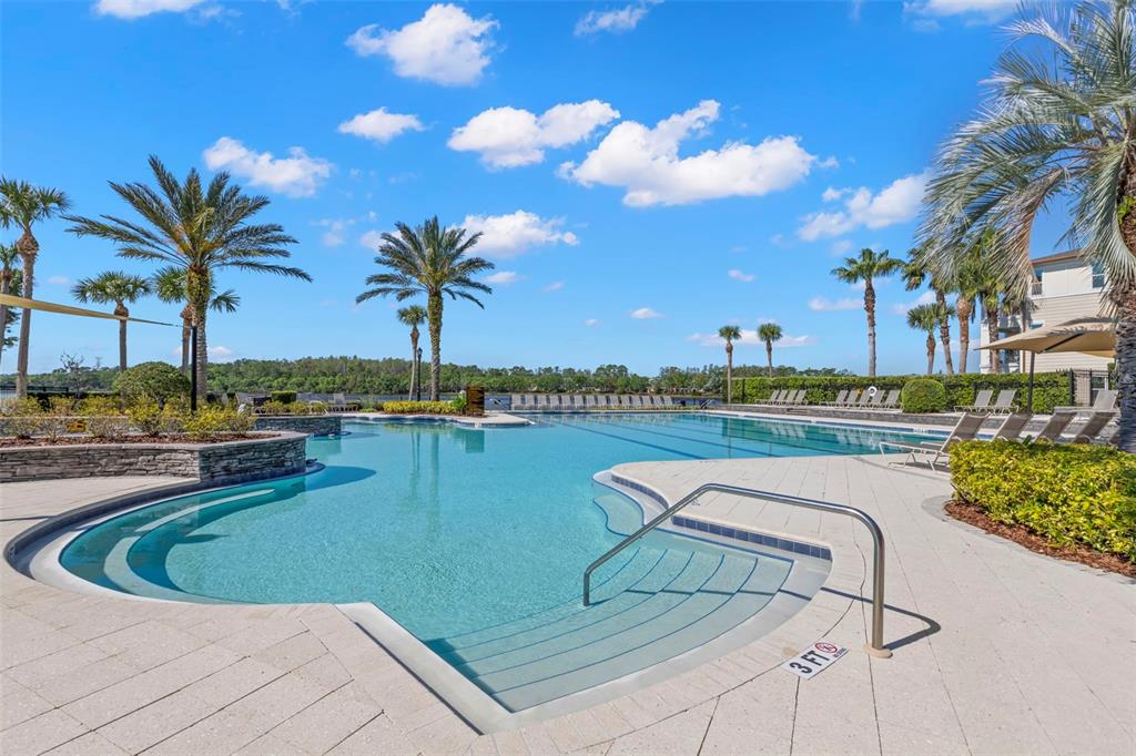 A swimming pool with a shallow entry area surrounded by palm trees and lounge chairs — 14743 CANOPY DRIVE, TAMPA, FL