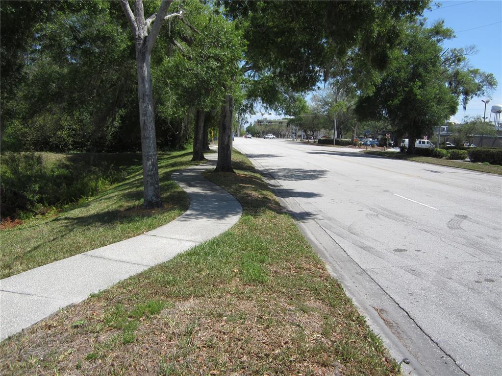 A concrete sidewalk winds along a grassy verge beside a paved road lined with trees — 209 CRYSTAL GROVE BOULEVARD, LUTZ, FL