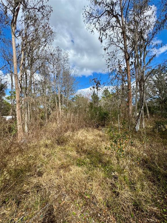 A view of a wooded, grassy lot with tall trees under a partly cloudy sky — 26931 DEACON LOOP, ZEPHYRHILLS, FL