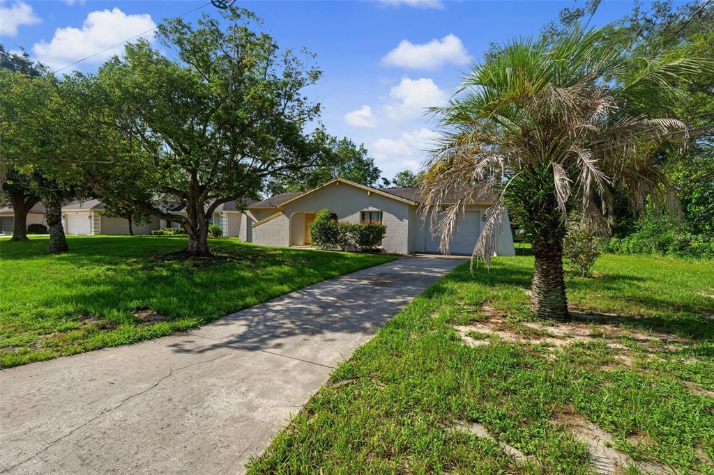 A single-story house with a concrete driveway, a palm tree, and a large shade tree — 10394 UPTON STREET, SPRING HILL, FL
