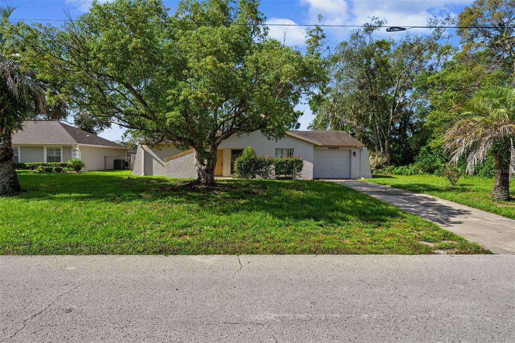 A single-story house with a concrete driveway, a large tree, and a one-car garage — 10394 UPTON STREET, SPRING HILL, FL