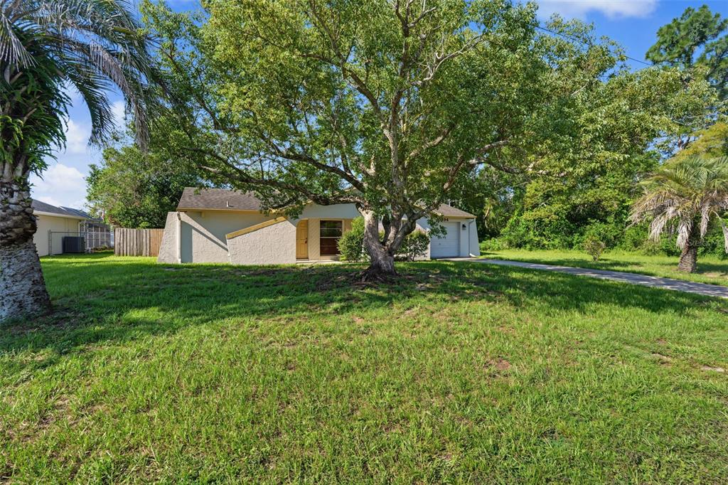 A single-story house with a large tree in the front yard and a paved driveway — 10394 UPTON STREET, SPRING HILL, FL